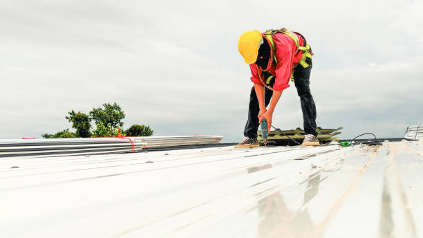 Best Gutter Installation and Repair  in Bunker Hl, IL