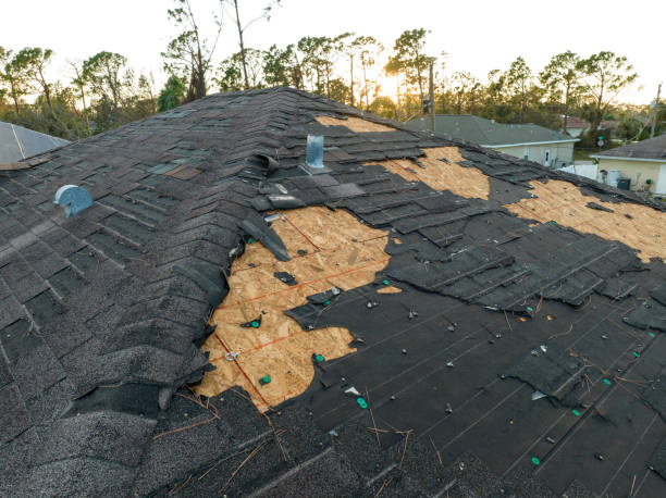 Best Storm Damage Roof Repair  in Bunker Hl, IL