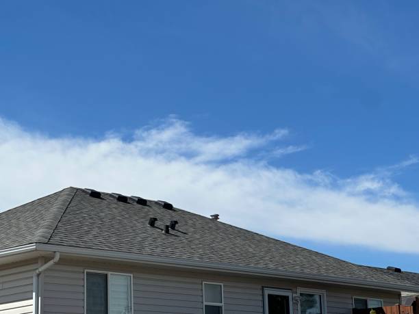 Best Solar Panel Roofing Installation  in Bunker Hl, IL