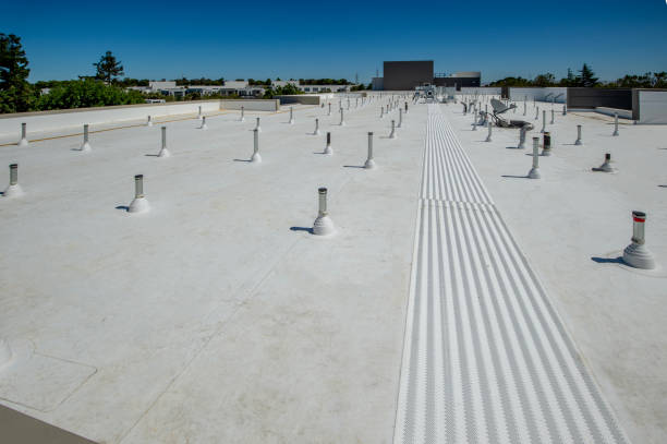 Best Roof Maintenance and Cleaning  in Bunker Hl, IL